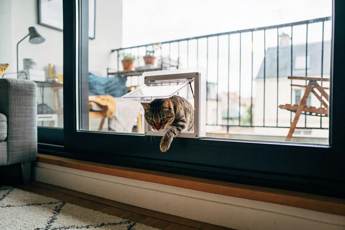 Chatière baie vitrée : Comment l’installer sans perçage ?
