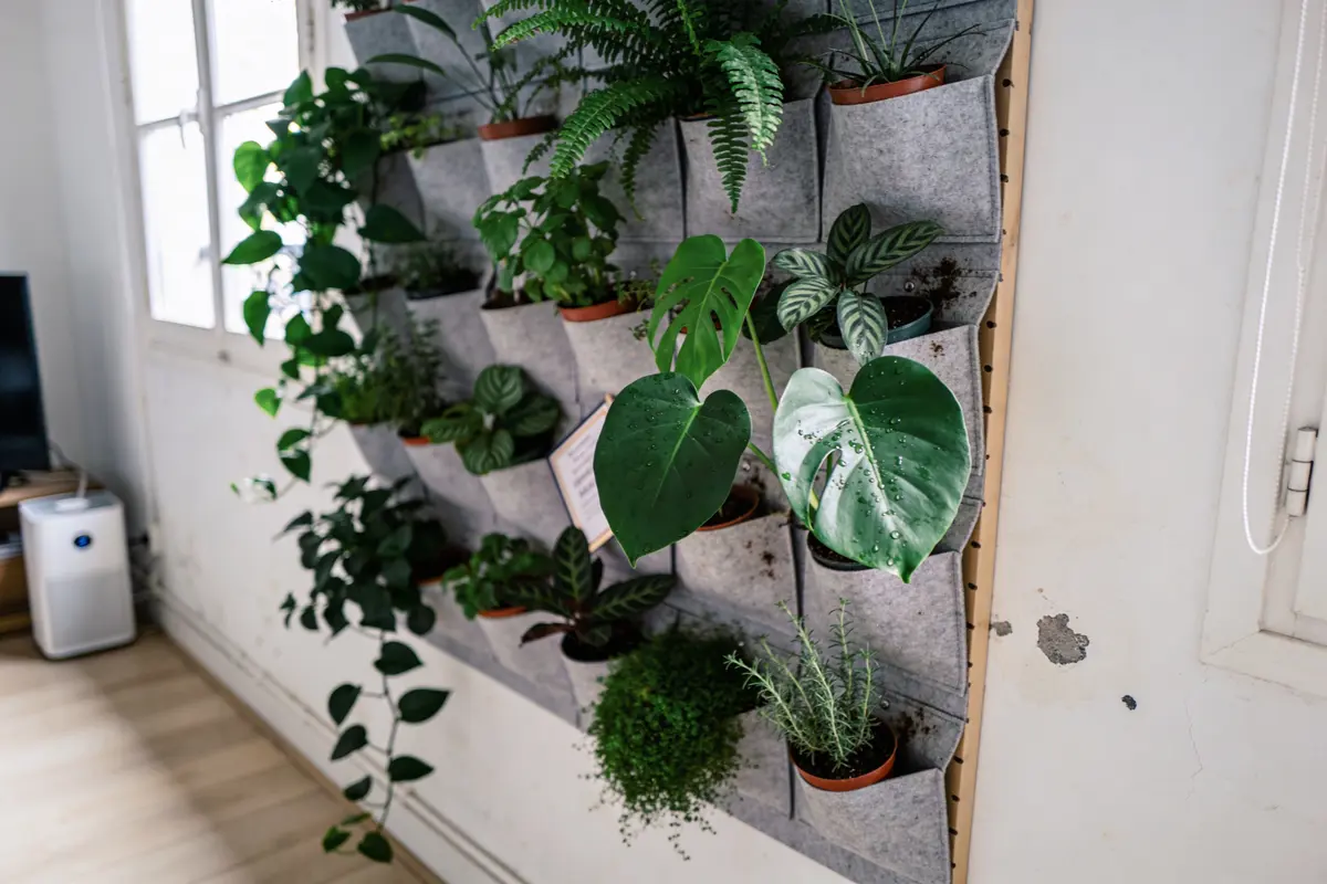 Mur végétal intérieur avec pots de plantes variées, près d'une fenêtre et d'un purificateur d'air.
