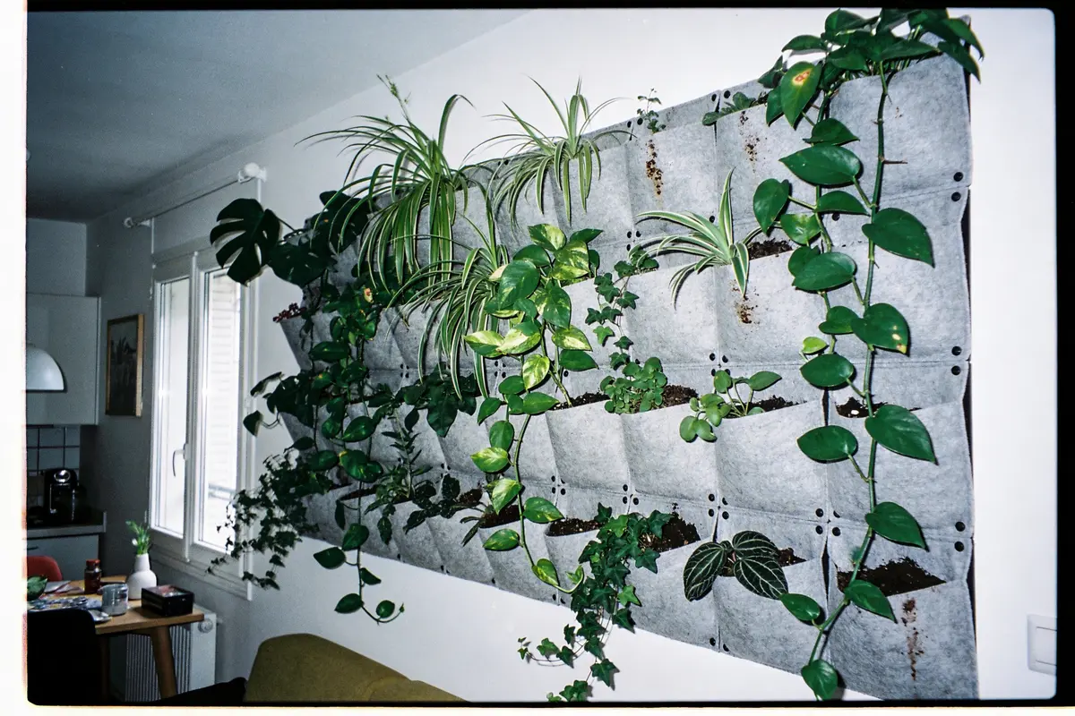 Mur végétal intérieur avec plantes vertes suspendues dans des poches grises, près d'une fenêtre.