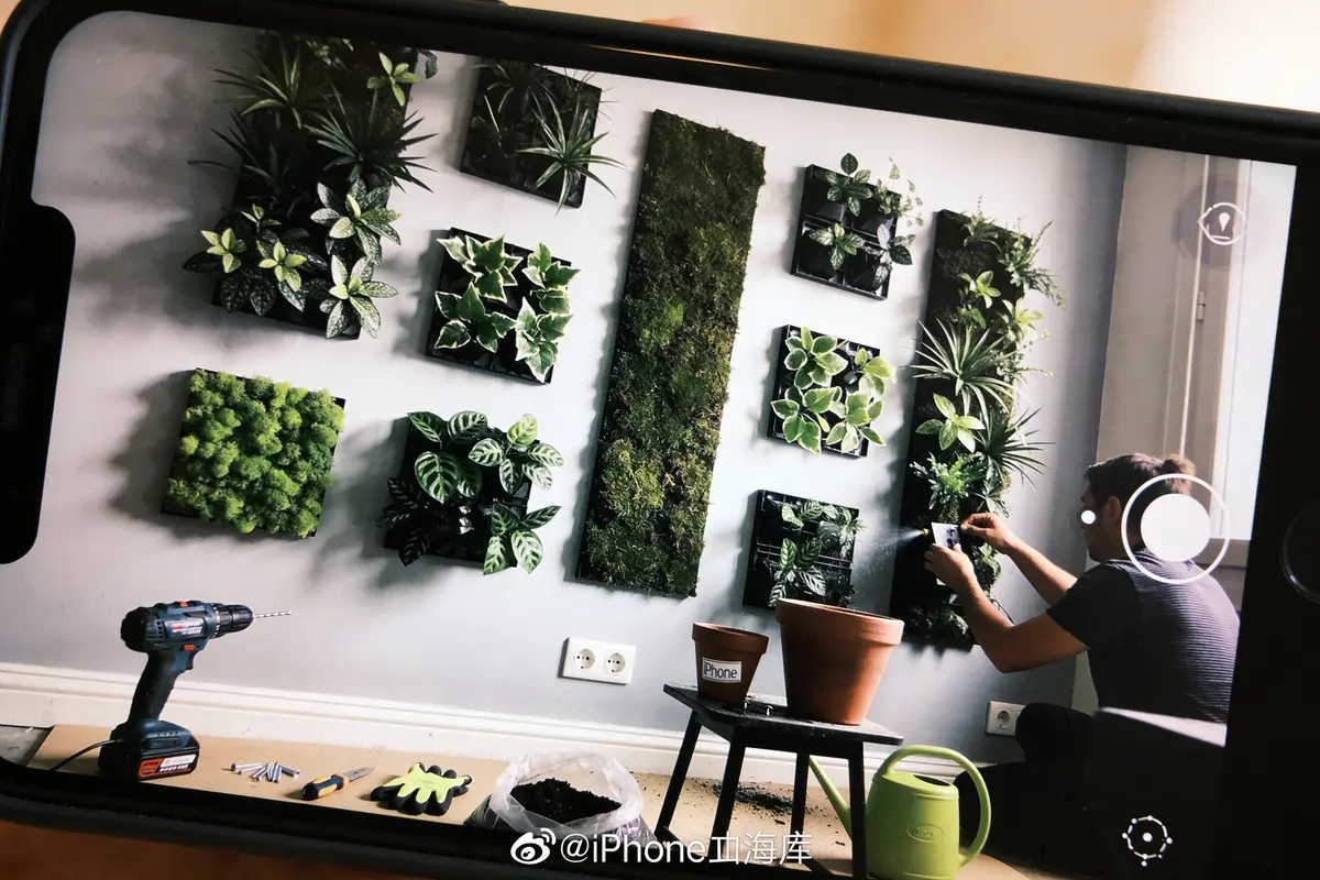 Installation de plantes murales intérieures, perceuse, pots, arrosoir, et outils visibles au premier plan.