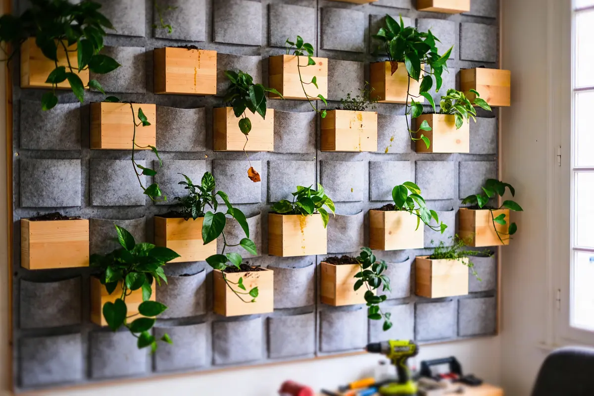 Mur végétalisé avec pots en bois fixés, contenant des plantes vertes suspendues, devant une fenêtre.